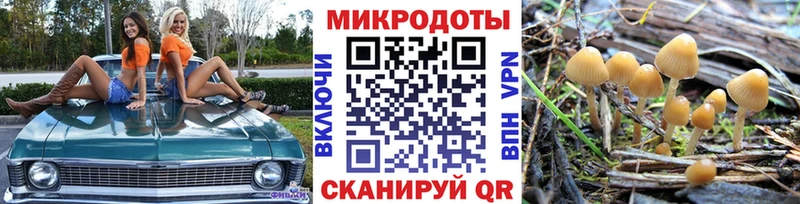 где купить наркоту  Железноводск  Галлюциногенные грибы мицелий 